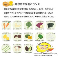 備蓄用栄養補給ライフスープ 5年保存 14食セット(7食×2袋) 非常食 アレルギー対応 長期保存 保存食 防災食 ベジタルアドバンス（直送品）