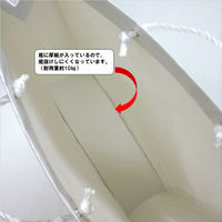 マツシロ 無地ビニールカバーバッグ 10枚入り 62BC2 1セット(2パック)（直送品）