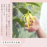 生活の木 イランイラン ミストコロン 30ml 1セット（1本×2）