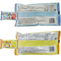 カネダ [アイス] バラエティアイスセット (10個入) 7170638 1個(1セット)（直送品）