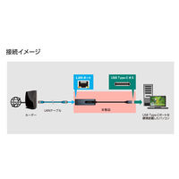 センチュリー USBーC 5G LAN Adapter CCA-UCL5G 1個