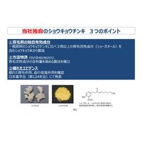 インセント アクティブエナジー 120ml 1個（医薬部外品）育毛剤　男 メンズ　バスクリン