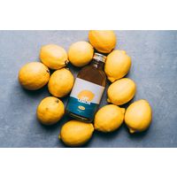 CityCamp OFF LEMON レモネード レモンシロップ 希釈用 300ml 1本