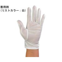 ウインセス 防塵手袋 M 1袋(12双入) * 1袋 69-4689-98（直送品）
