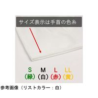 ウインセス 防塵手袋ロング L 1袋(12双入) * 1袋 69-4691-05（直送品）