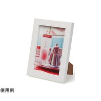 ケンコー・トキナー トレカフレーム L ホワイト PS-TC-L-WH 1個 69-0328-43（直送品）