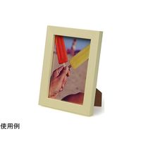 ケンコー・トキナー トレカフレーム L イエロー PS-TC-L-YE 1個 69-0328-46（直送品）