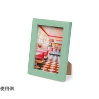 ケンコー・トキナー トレカフレーム L グリーン PS-TC-L-GRN 1個 69-0328-47（直送品）