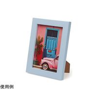 ケンコー・トキナー トレカフレーム L ライトブルー PS-TC-L-LBU 1個 69-0328-48（直送品）