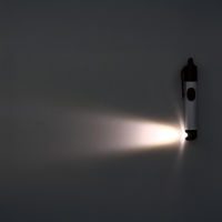 三和製作所 ピッコラ 瞳孔ゲージ付 ホワイト LED 00364610 1本