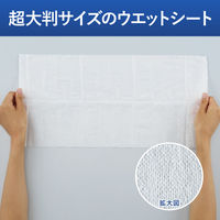 ウェットティッシュ アルコール 雑巾のように使える 超大判ウェットシート アルコール 詰め替え用 1セット（1個（100枚入）×6）コクヨ