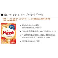 グミ 食べきりサイズ カンロ マロッシュアップルサイダー味 46g 1セット（1個×12）
