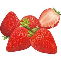 チューハイ 合同酒精 NIPPON PREMIUM ニッポンプレミアム 栃木県産とちあいか 缶 350ml 1ケース(24本)