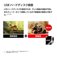 ドウシシャ SMART TV シリーズ 4K 55V型液晶テレビ OLS55RD10 1台