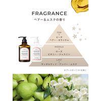 マイブースターズ ヘマチン ブースター シャンプー ペアー＆ムスクの香り 400ml ネイチャーラボ