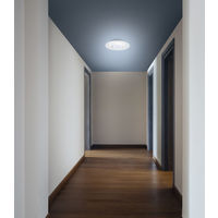 アイリスオーヤマ 小型シーリングライト 導光板 1900lm 昼光色 人感センサー付 SCL190D-MS-P 1台