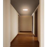 アイリスオーヤマ 小型シーリングライト 導光板 1900lm 電球色 SCL190L-P 1台