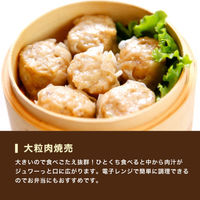 大阪王将　お試しセット　餃子・炒飯・焼売入り　冷凍食品 中華（直送品）