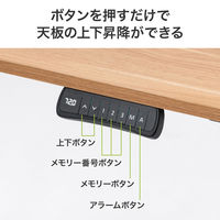 サンワサプライ 電動昇降デスク(幅1200mm・薄い木目) ERD-C12060LM 1台（直送品）