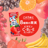 カゴメ 冬のフルーツこれ一本 200ml 1箱(24本入) 0048 1セット(24本入×2)