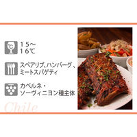 ペリート・カベルネ・ソーヴィニヨン 1.5L×2本 チリ 赤 フルボディ  赤ワイン