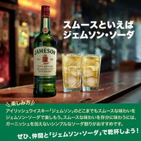 ジェムソン スタンダード アイリッシュウイスキー ウィスキー JAMESON ギフト プレゼント 700ml 1本 ペルノ・リカール