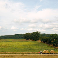 アブソルート ウオッカ 700ml 1本 リッチでなめらか ギフト プレゼント カクテル ABSOLUTE VODKA ペルノ・リカール