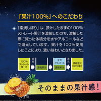 チューハイ 素滴しぼり 果汁100% パイン 350ml 1ケース（24本） パインサワー 酎ハイ
