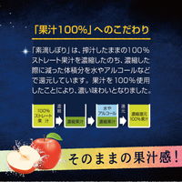 チューハイ　素滴しぼり 果汁100%　りんご　350ml　2ケース(48本)　りんごサワー　酎ハイ