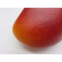 【食品サンプル】 果物専科 国産完熟マンゴ 3029 日本サンプル 1個（直送品）