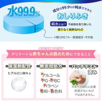 アスクル限定【100枚入り増量タイプ】水99.9％ あかちゃんのふんわりおしりふき 1セット（100枚入×20パック） レック オリジナル