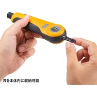 サンワサプライ パンチダウン工具 LAN-TL19 1個（直送品）
