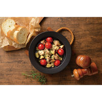 和平フレイズ マジカリーノ レンジで発熱する皿20cm RE-7266 1個（直送品）