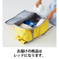 マスセット カラフルおさんぽリュック レッド 1個 30347