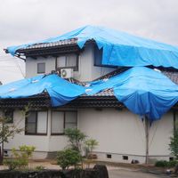 萩原工業 ターピー エコフレンド#3，000 小畳 5.4m×5.4m ブルー 01605 1枚（直送品）