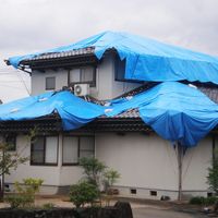 萩原工業 ターピー エコフレンド#3，000 小畳 5.4m×7.2m ブルー 01604 1枚（直送品）