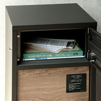 MOJYU ラウロ 宅配ボックス付ポスト ディムグレー 1台（直送品）
