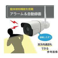 ブロードウォッチ 録画機内蔵ワイヤレス屋外型防犯カメラ SEC-WTF-1080P 1個 69-8784-23（直送品）