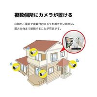 400万画素NVRーPoE有線タイプ カメラ4台 録画機(2TB)モニター付き 防犯カメラセット SEC-N-4M-16L-2T 1セット（直送品）