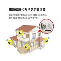 800万画素NVRーPoE有線タイプ カメラ4台 録画機(2TB)モニター付き 防犯カメラセット SEC-N-4K-16L-2T 1セット（直送品）