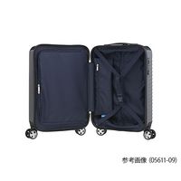 エース WorldTraveler ナタドラ 31L 05611-09 1個 64-3927-40（直送品）