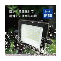 ブロードウォッチ LED投光器(AC50W) LED-AC50 1個 69-8572-95（直送品）