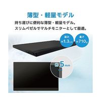 ブロードウォッチ 16インチ液晶モバイルモニター 解像度1920×1200 スピーカー内蔵 LCD-H160 1個 69-8714-19（直送品）