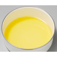 オークス ろ過パウダーセット 300g 60回分 Leye ロカポット専用 487960 1個（直送品）