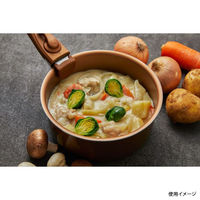 パール金属 フライパン VISIONS GOLD Coating IH対応クックウェア3pcsセット CP-8724 1ケース(4個)（直送品）