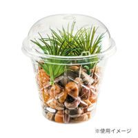 リスパック 透明カップ バイオ キラリス 101パイ390B キリコ PRTP010 1袋(25個)（直送品）