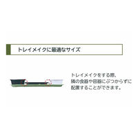 中央化学 弁当容器 CTカインド20-16 2S W 身 00810808 1ケース(800個(50個×16))（直送品）