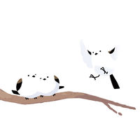 ニーズ かわいいシマエナガの洗えるトイレマット 1-00383-001 1枚（直送品）