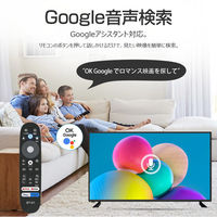 WIS 55型 4KチューナーレスGoogleTV 55GTN 1台（直送品）