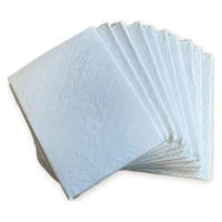 ぐるわん 防災BOX 1Day 備蓄用 災害対策 ペット用 6300076991 1箱（直送品）